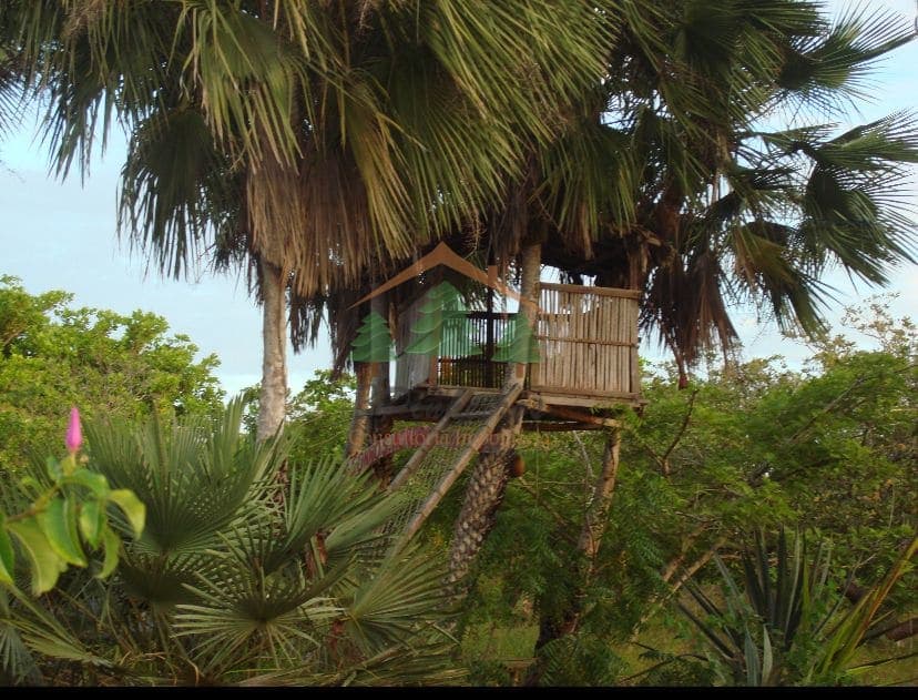 Terreno à venda no Lagoa do Paraíso em Jijoca de Jericoacoara-Ceará – cabane