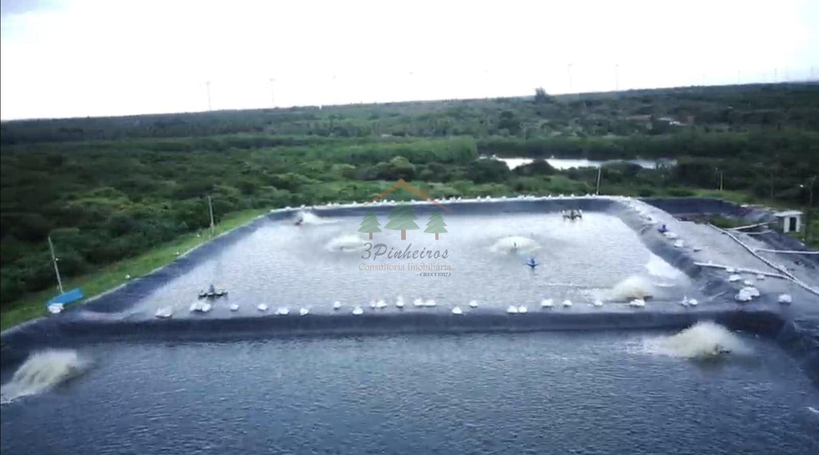 Terreno em Trairi-Ceará — R$ 8.200.000: deixe esse texto bem editado e explicativo com paragrafo...