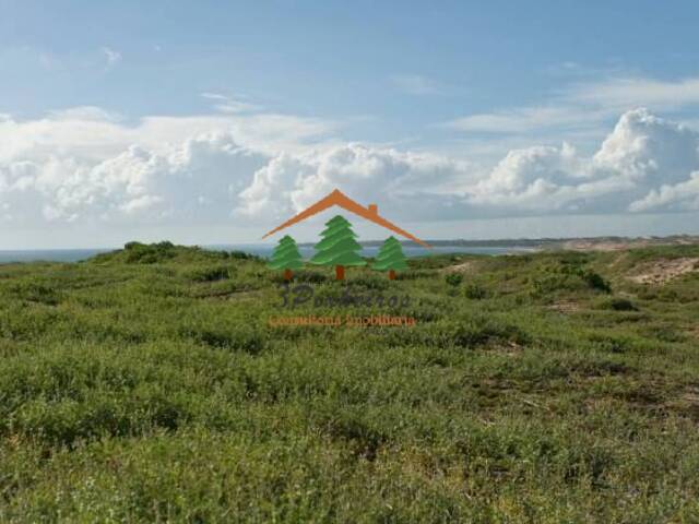 Área para Venda em Itapipoca - 3
